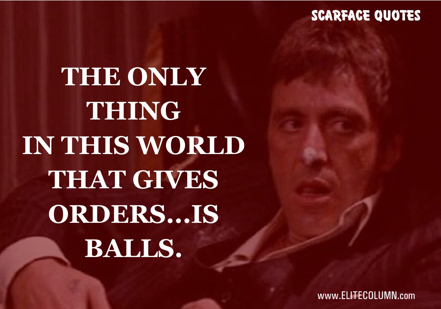 14 Best Scarface Quotes Only For 18 Years Old and Above | EliteColumn