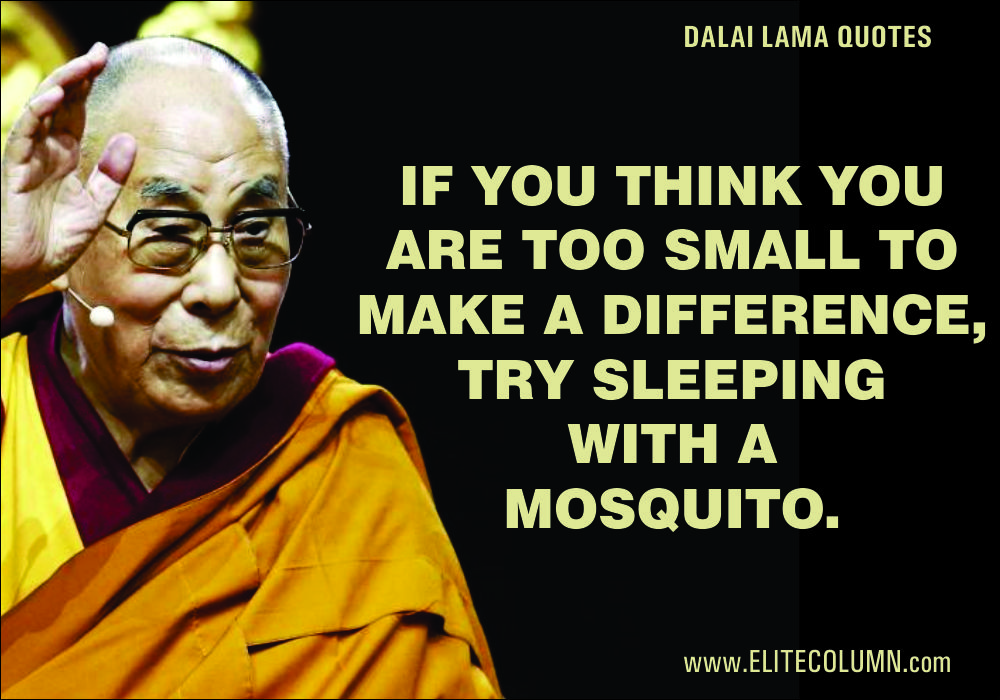 Dalai Lama Quotes (9)