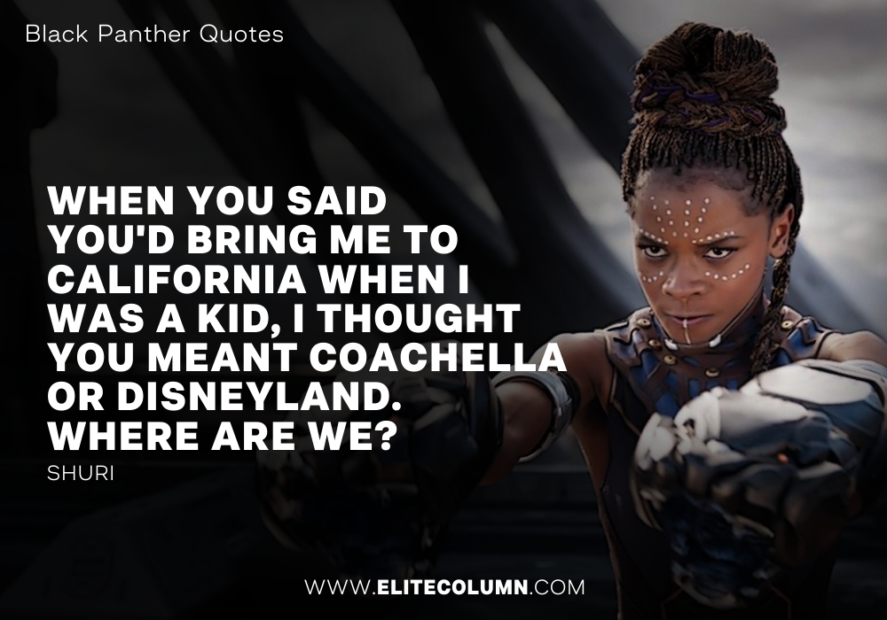 10 Fantastic Quotes from The Blockbuster Black Panther | EliteColumn