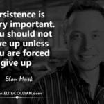 Elon Musk Quotes 12