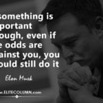 Elon Musk Quotes 13