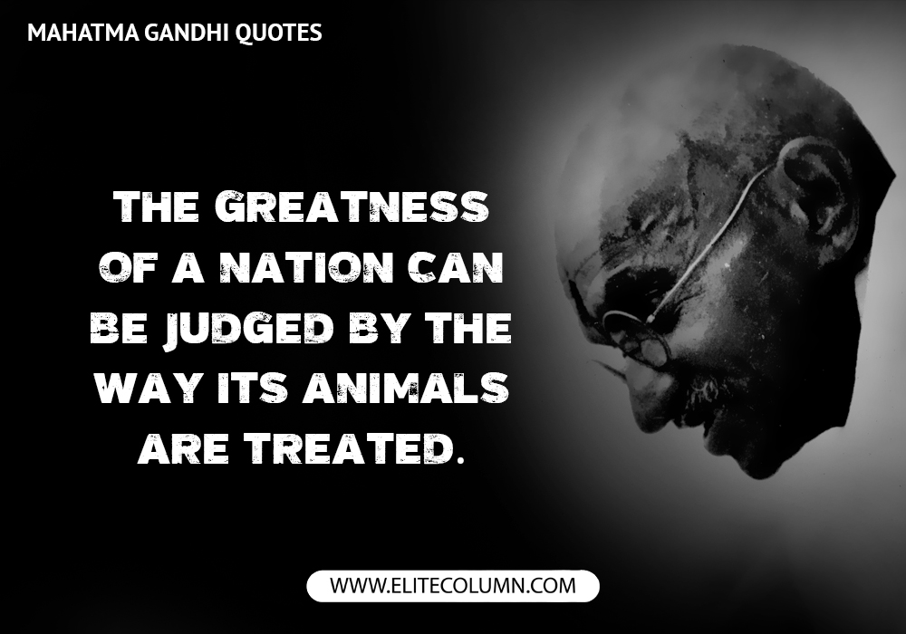 Mahatma Gandhi Quotes (7)