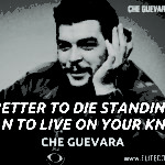 Che Guevara Quotes 1
