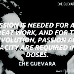Che Guevara Quotes 10
