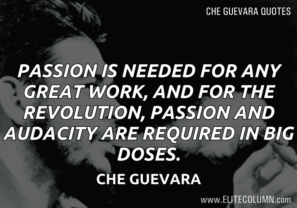 Che Guevara Quotes (10)