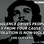 Che Guevara Quotes 7