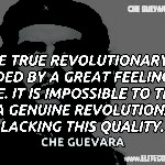 Che Guevara Quotes 9