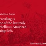 Rebellious Quotes 9