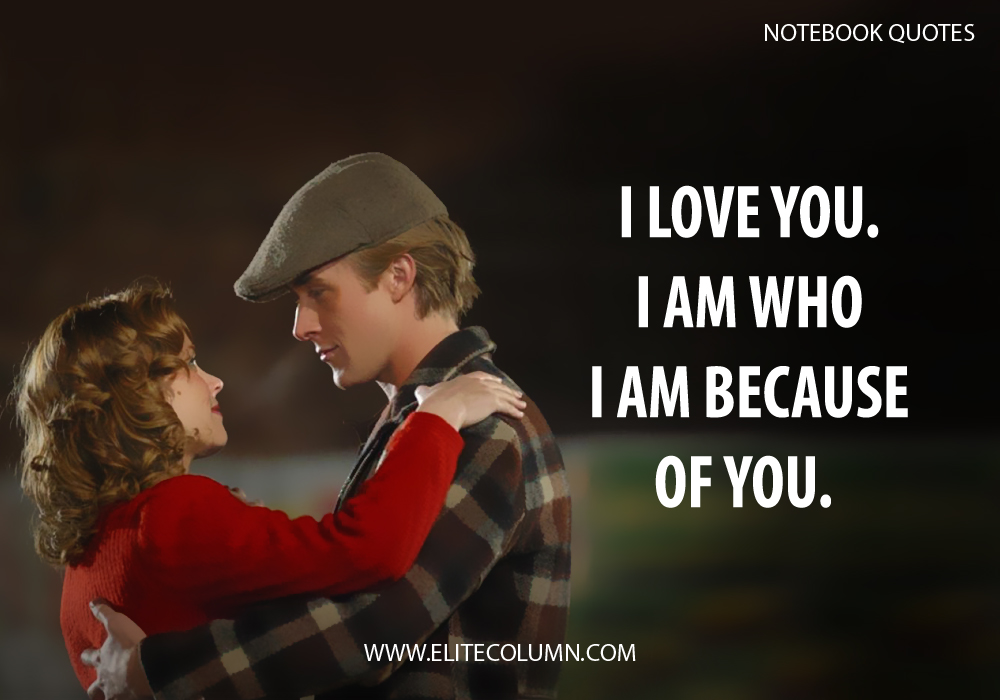 12 Notebook Quotes That Will Make You Fall In Love Again | EliteColumn