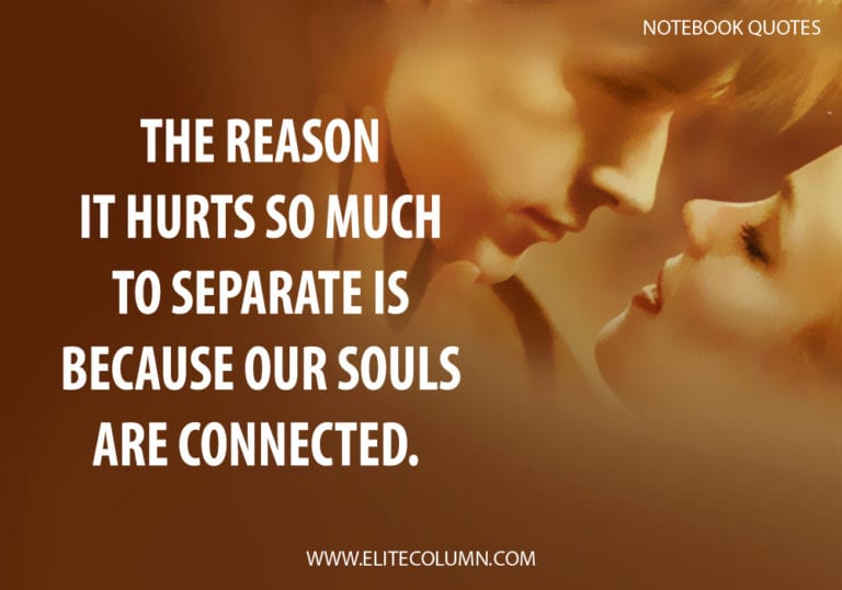 The Notebook Quotes (7)