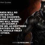 Black Panther Quotes 1