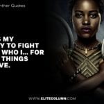 Black Panther Quotes 10