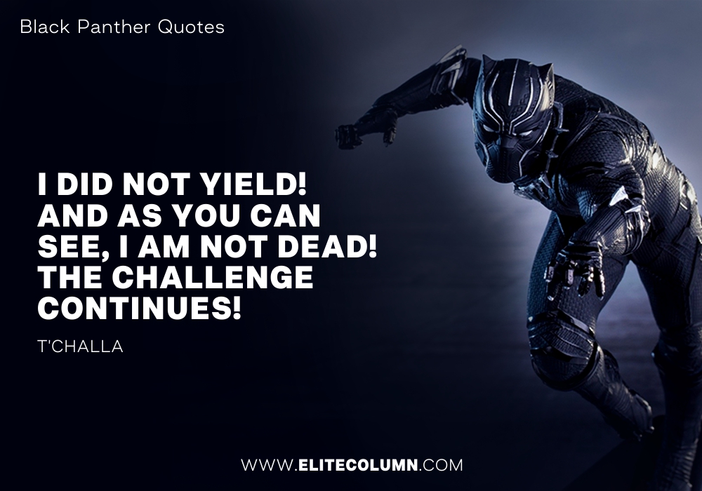 14 Black Panther Quotes That Will Move You Elitecolumn