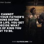 Black Panther Quotes 5