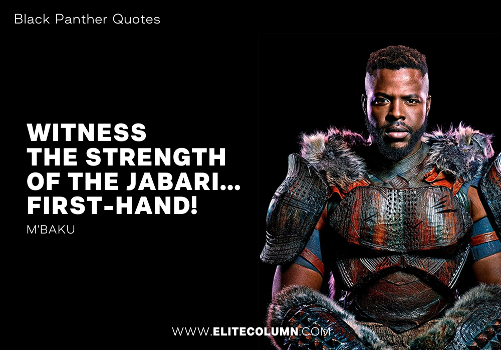 Black Panther Quotes (6)