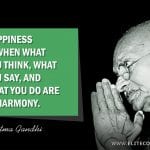 Happiness Quotes 5