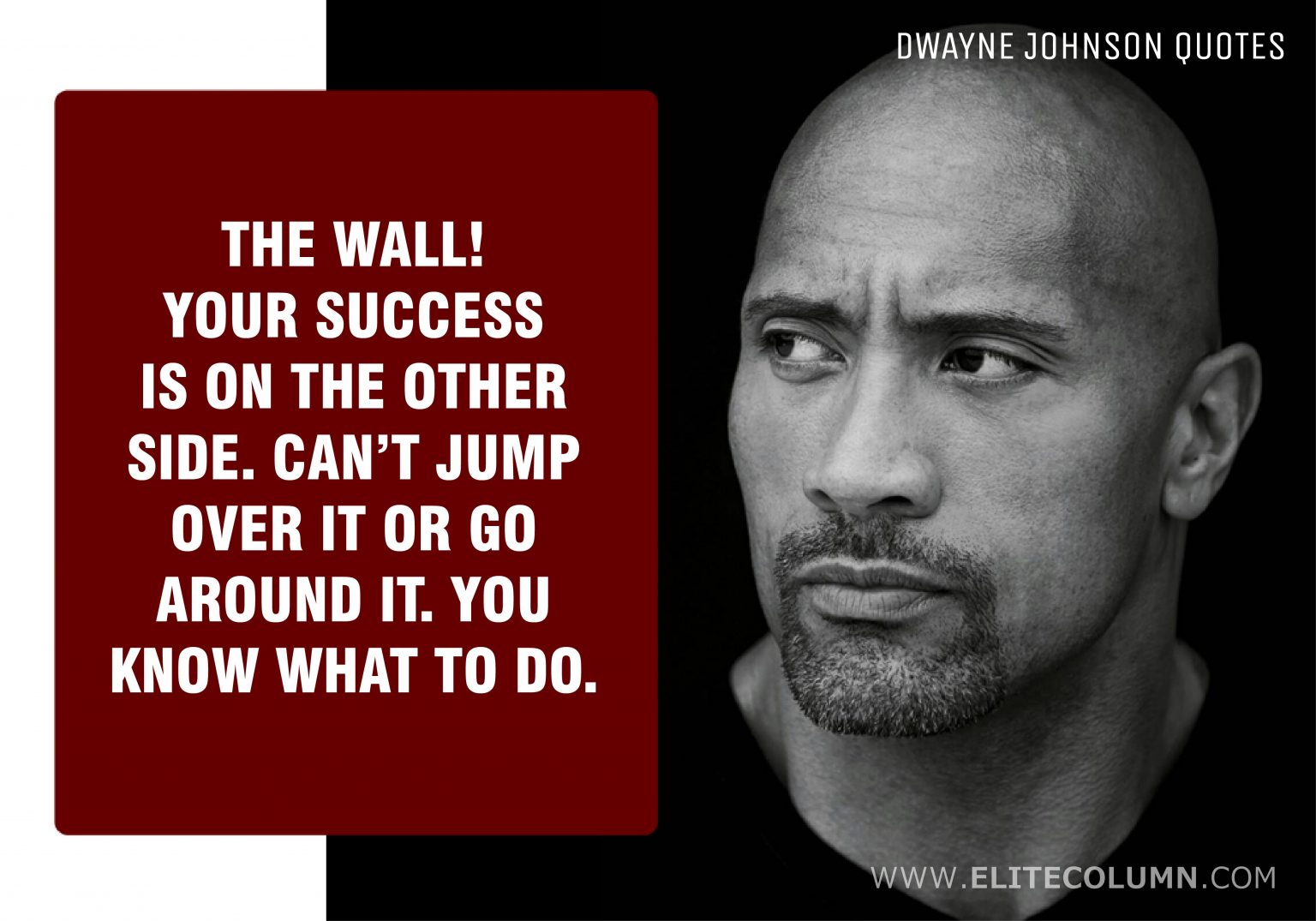 46 Dwayne Johnson Quotes That Will Motivate You 2021 Elitecolumn
