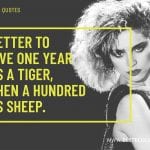 Madonna Quotes 7