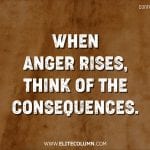 Confucius Quotes 11