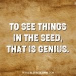 Lao Tzu Quotes 16