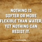 Lao Tzu Quotes 17