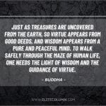 Wisdom Quotes 5