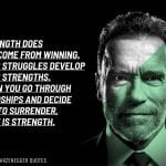 Arnold Schwarzenegger Quotes 2