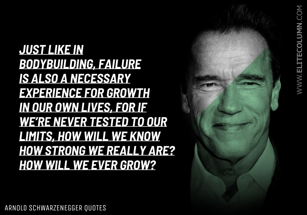 Arnold Schwarzenegger Quotes (4)