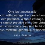 Courage Quotes 9