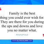 Family Quotes 1