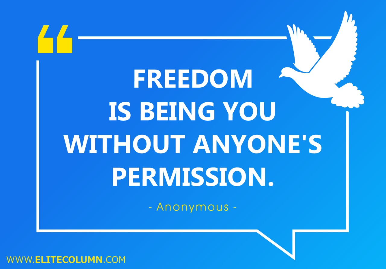Freedom Quotes And Sayings