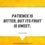 Patience Quotes 1