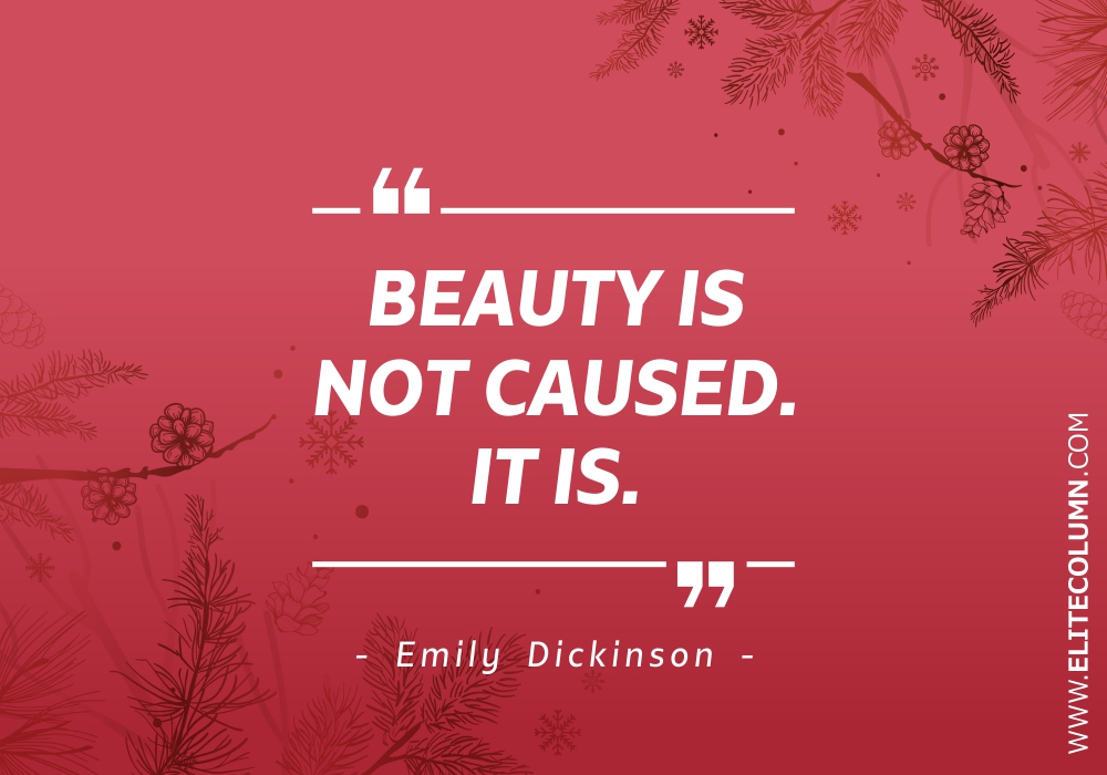 Beauty Quotes (8)