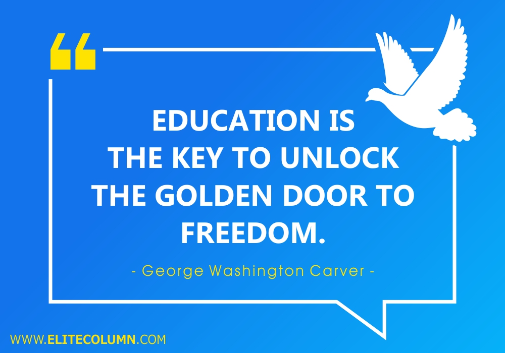 Freedom Quotes (7)