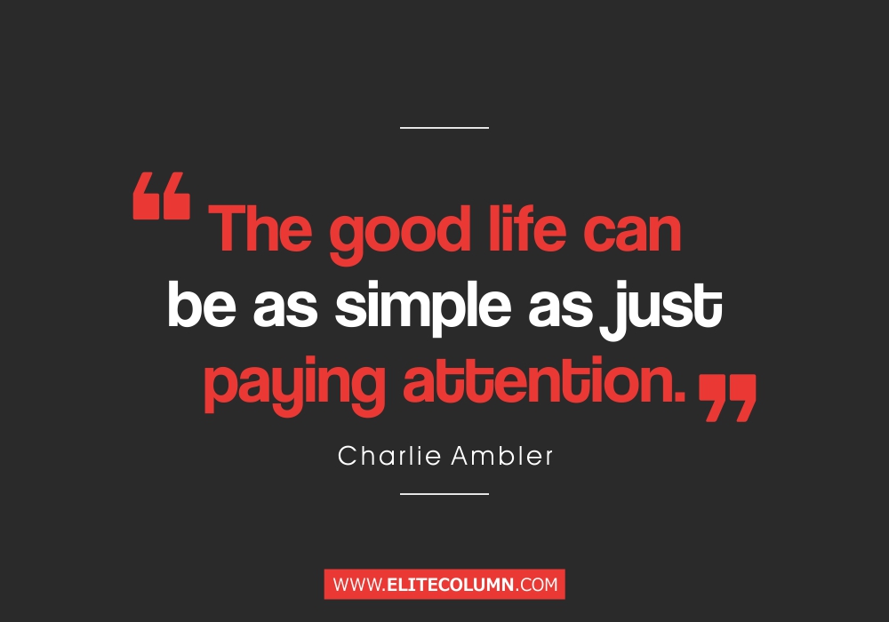 Zen Quotes (3)
