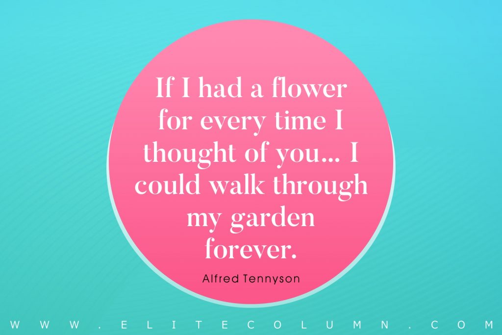Love Quotes (5)
