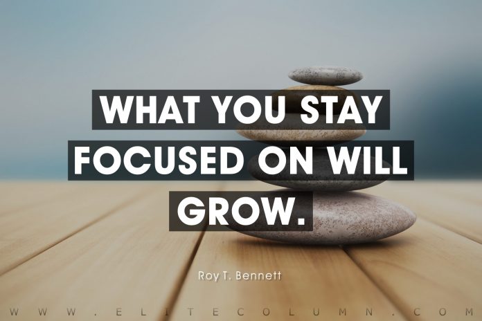 Focus Quotes (8)