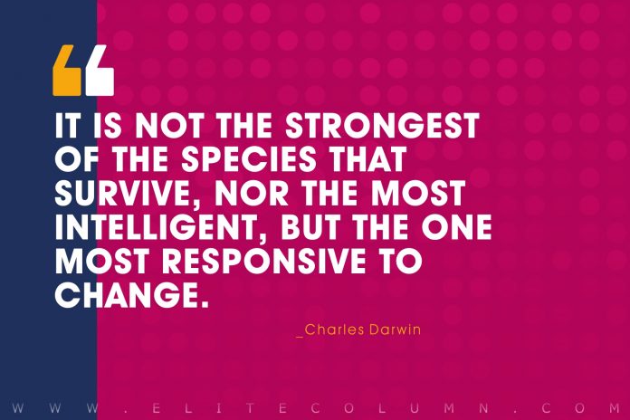 History Quotes (4)