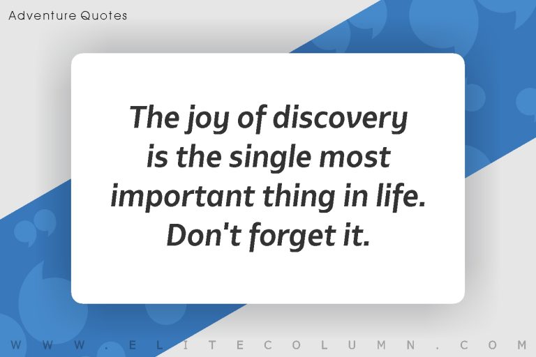 Adventure Quotes (11)