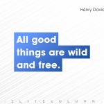 Henry David Thoreau Quotes 5