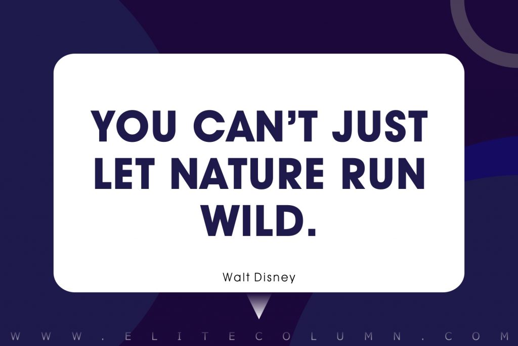 Walt Disney Quotes (6)