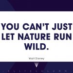 Walt Disney Quotes 6