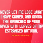 Autumn Quotes 1