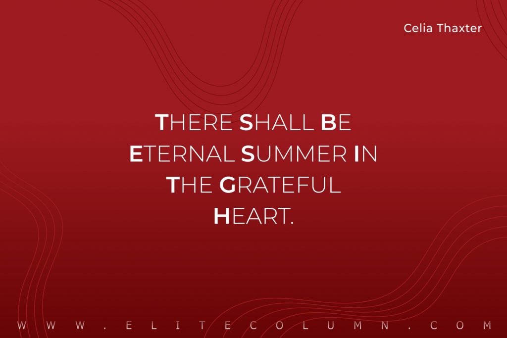 Summer Quotes (10)