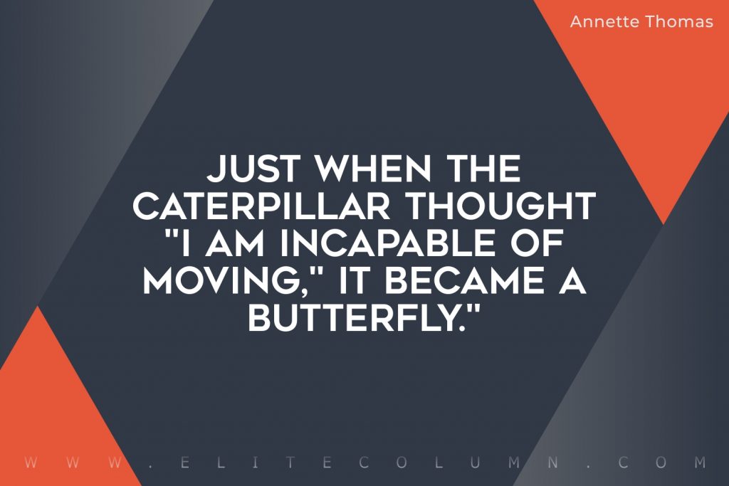 Butterfly Quotes (2)