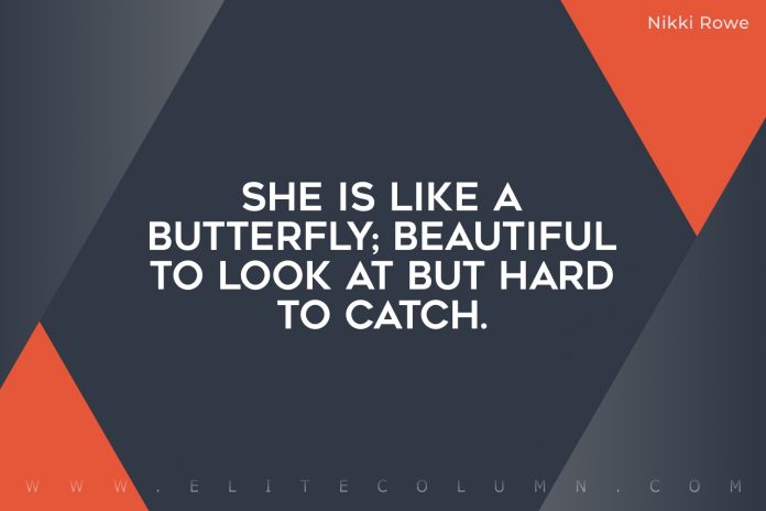 Butterfly Quotes (3)