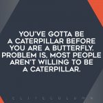 Butterfly Quotes 7