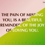 Miss You Quotes 7
