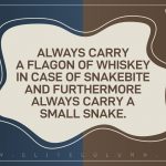 Sarcastic Quotes 9