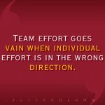 Teamwork Quotes 2